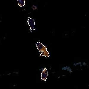 météo tropicale : Image satellite .