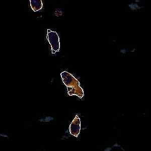 météo tropicale : Image satellite .