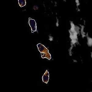 météo tropicale : Image satellite .