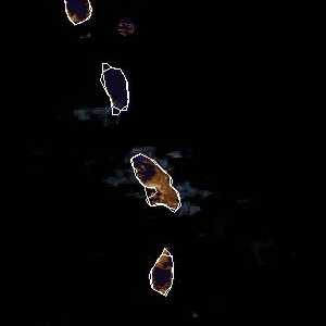 météo tropicale : Image satellite .