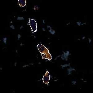 météo tropicale : Image satellite .