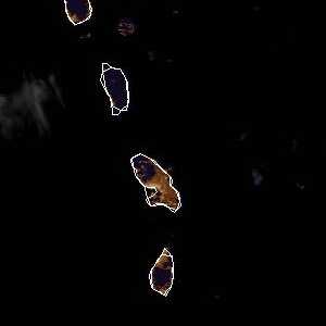 météo tropicale : Image satellite .