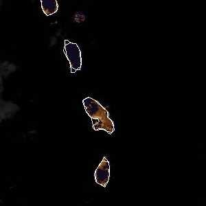 météo tropicale : Image satellite .