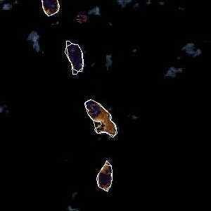 météo tropicale : Image satellite .