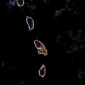 météo tropicale : Image satellite .