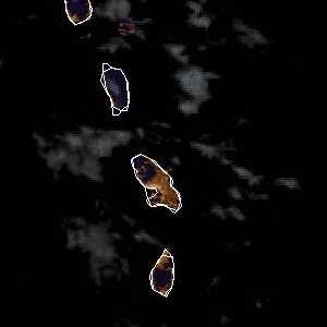 météo tropicale : Image satellite .