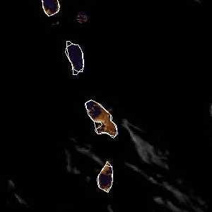 météo tropicale : Image satellite .