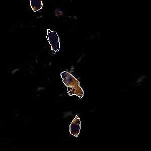 météo tropicale : Image satellite .