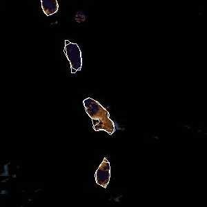 météo tropicale : Image satellite .