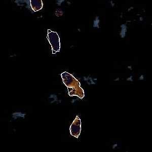 météo tropicale : Image satellite .