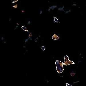 météo tropicale : Image satellite .