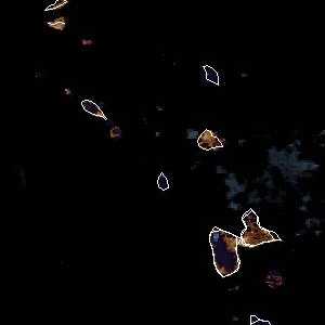 météo tropicale : Image satellite .