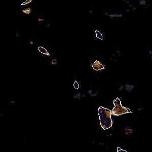 météo tropicale : Image satellite .