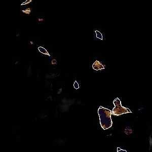 météo tropicale : Image satellite .