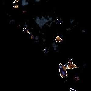 météo tropicale : Image satellite .