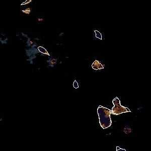 météo tropicale : Image satellite .