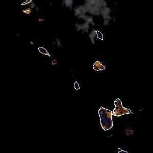 météo tropicale : Image satellite .