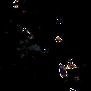 météo tropicale : Image satellite .