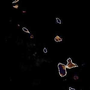 météo tropicale : Image satellite .