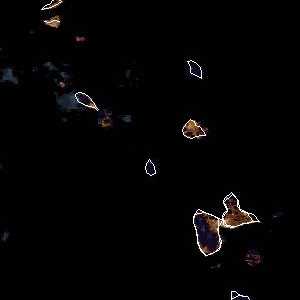 météo tropicale : Image satellite .