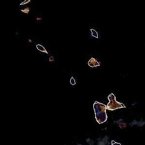 météo tropicale : Image satellite .