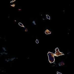 météo tropicale : Image satellite .