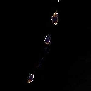 météo tropicale : Image satellite .