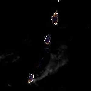 météo tropicale : Image satellite .