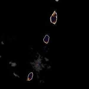 météo tropicale : Image satellite .