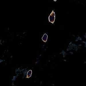 météo tropicale : Image satellite .