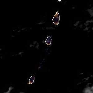 météo tropicale : Image satellite .