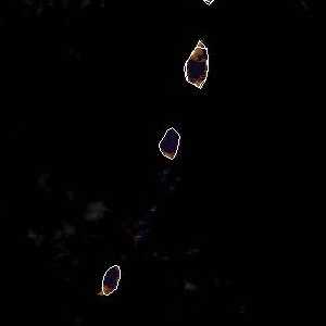 météo tropicale : Image satellite .