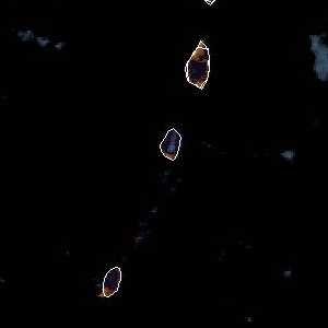 météo tropicale : Image satellite .