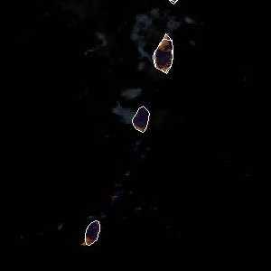 météo tropicale : Image satellite .