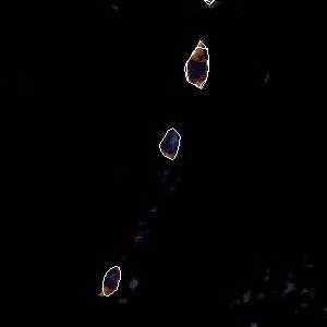 météo tropicale : Image satellite .