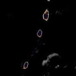 météo tropicale : Image satellite .
