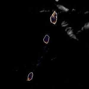 météo tropicale : Image satellite .