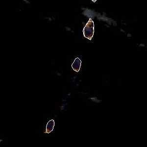 météo tropicale : Image satellite .