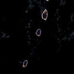 météo tropicale : Image satellite .