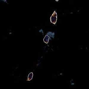 météo tropicale : Image satellite .