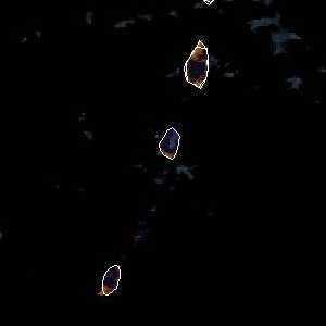 météo tropicale : Image satellite .