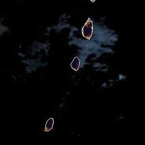 météo tropicale : Image satellite .