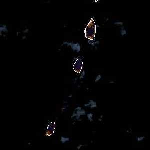 météo tropicale : Image satellite .