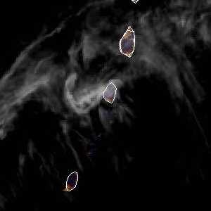 météo tropicale : Image satellite .