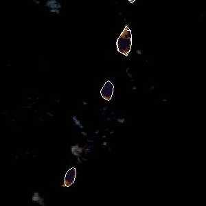 météo tropicale : Image satellite .