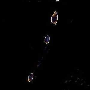 météo tropicale : Image satellite .