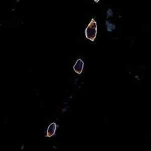 météo tropicale : Image satellite .