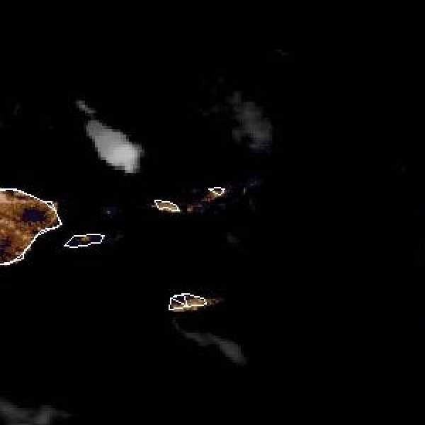 tropical weather: Satellite image.