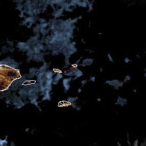 météo tropicale : Image satellite .