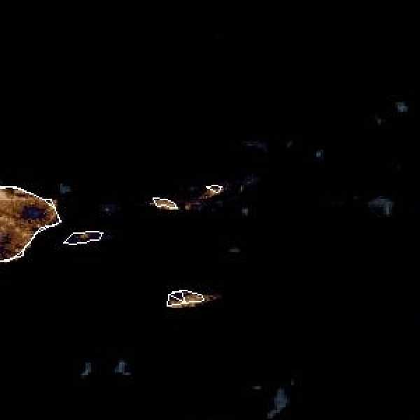 météo tropicale : Image satellite .